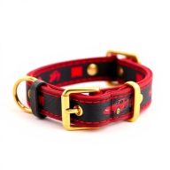 collar-racing-6kbv8Y6h